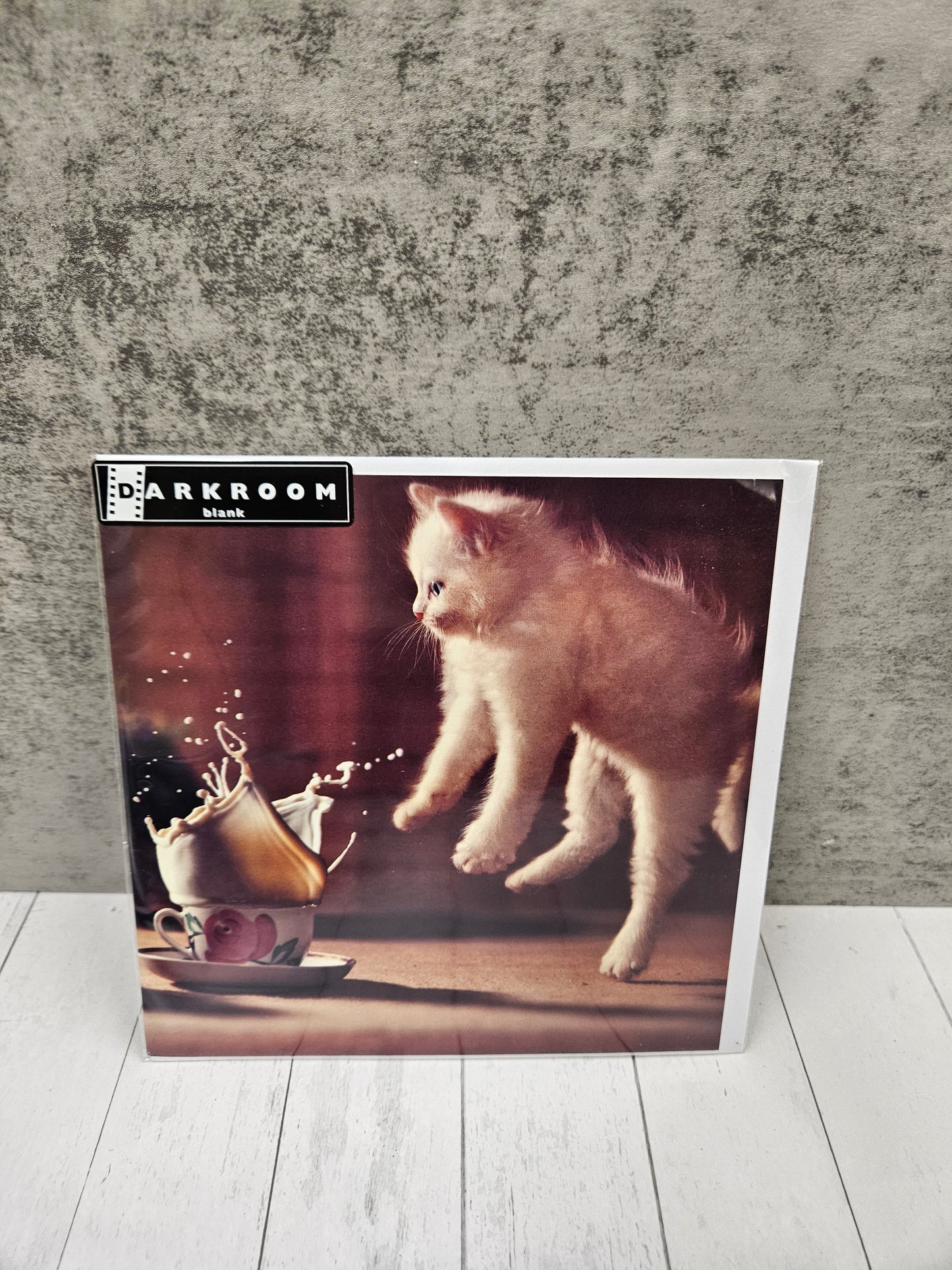 Kitten 'oops' blank card
