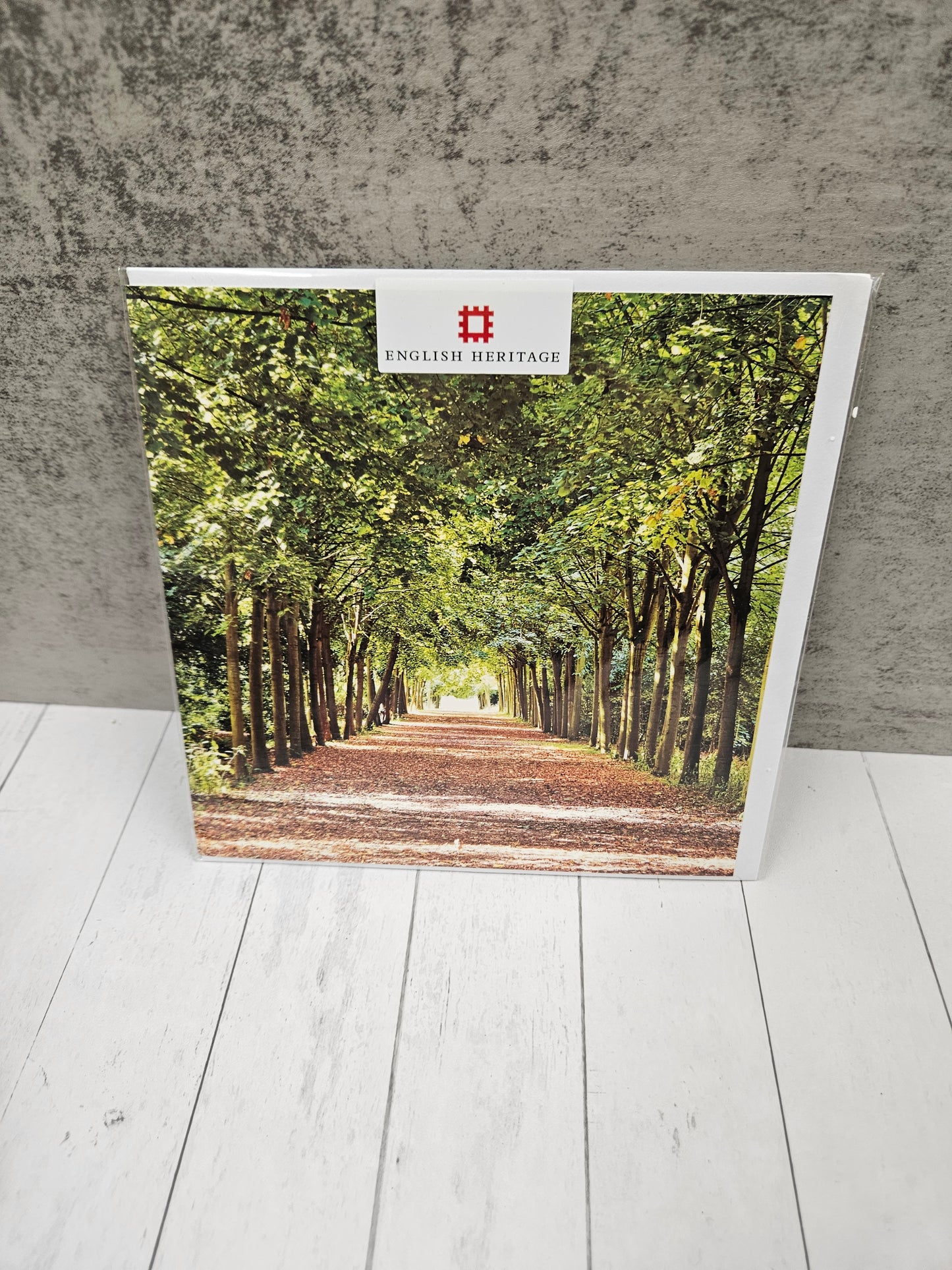 Tree lined path blank card