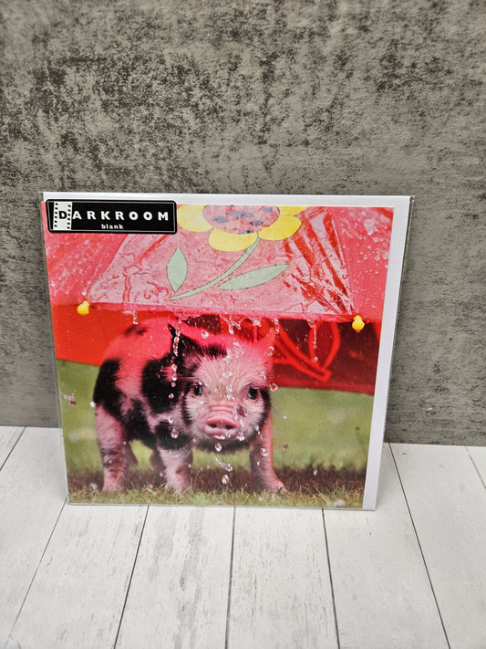 'Wet wet wet' pig blank card