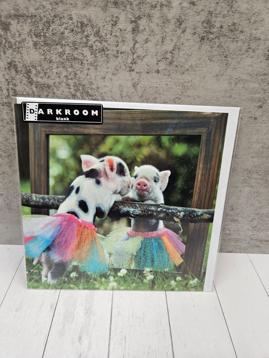 Ballerina piglet blank card