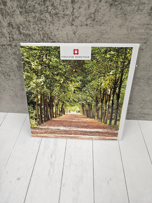 Tree lined path blank card